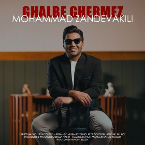 محمد زند وکیلی – قلب قرمز