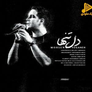 محسن یگانه - دل تنها