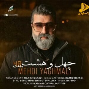 مهدی یغمایی – 48 ساعت