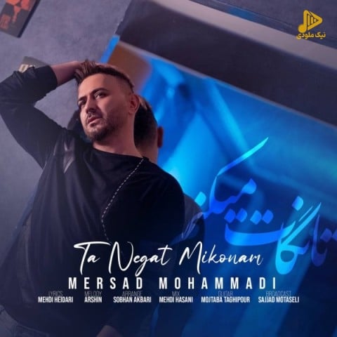 مرصاد محمدی – تا نگات میکنم