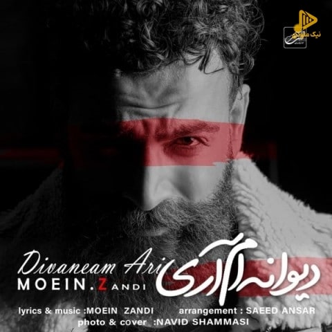 معین زد – دیوانه ام آری