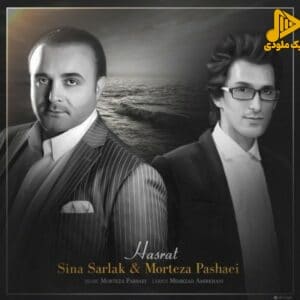 مرتضی پاشایی و سینا سرلک – حسرت