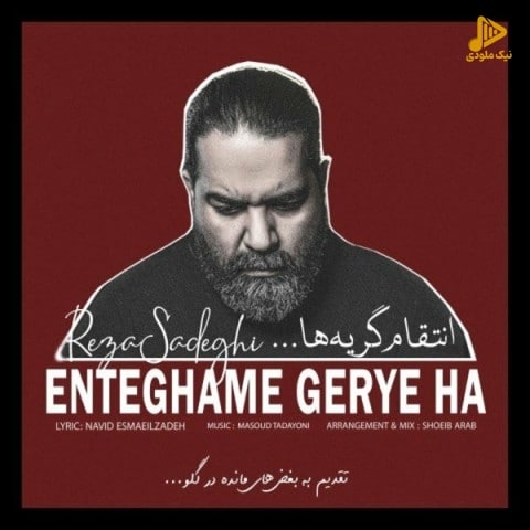 رضا صادقی – انتقام گریه ها