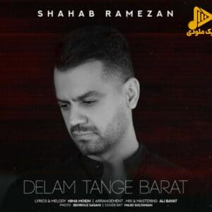شهاب رمضان – دلم تنگه برات