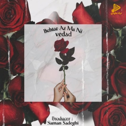 وداد – بهتر از ما نی