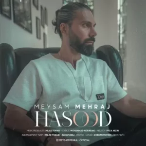 میثم مهراج – حسود