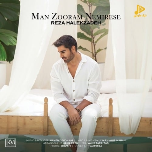 رضا ملک زاده – من زورم نمیرسه
