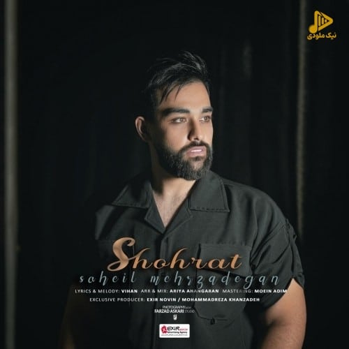سهیل مهرزادگان – شهرت
