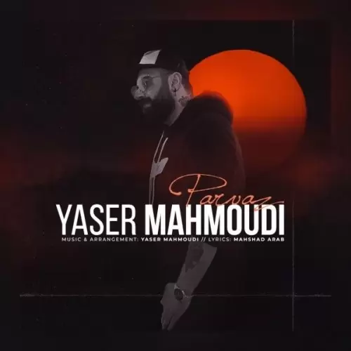 یاسر محمودی – پرواز