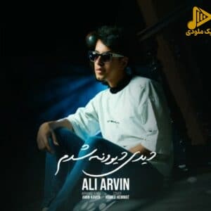 علی آروین – دیدی دیوونه شدم