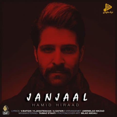حمید هیراد – جنجال