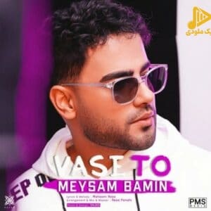 میثم بامین – واسه تو