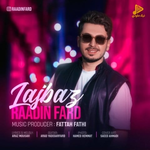 رادین فرد – لجباز