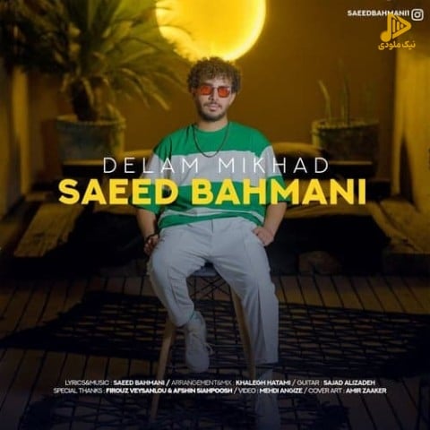 سعید بهمنی – دلم میخواد