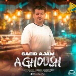 سعید عجم – آغوش