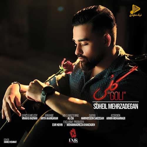 سهیل مهرزادگان – گلی