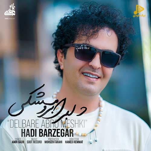 هادی برزگر – دلبر ابرو مشکی