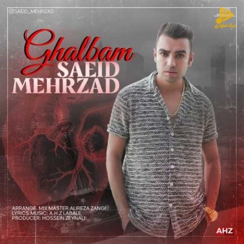 سعید مهرزاد – قلبم