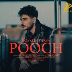 حسین پارسا – پوچ