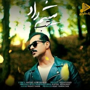 میثم راد – شب