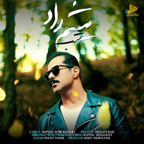 میثم راد – شب