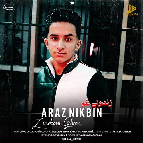 آراز نیک بین – زندونی غم