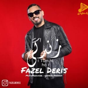 فاضل دریس - زندگی