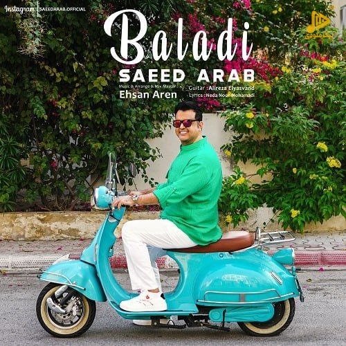 سعید عرب – بلدی