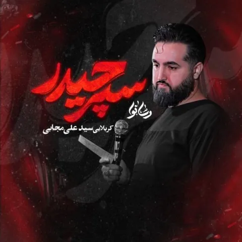 مداحی سید علی مجابی – سپر حیدر