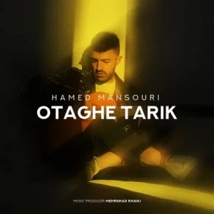 حامد منصوری – اتاق تاریک