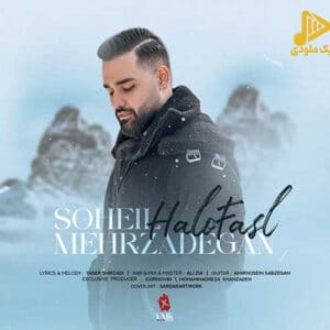 سهیل مهرزادگان – حل و فصل