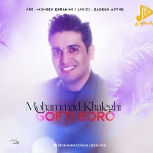 محمد خالقی – گفتی برو