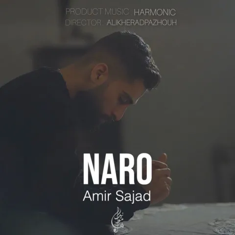 امیرسجاد آرگینی – نرو