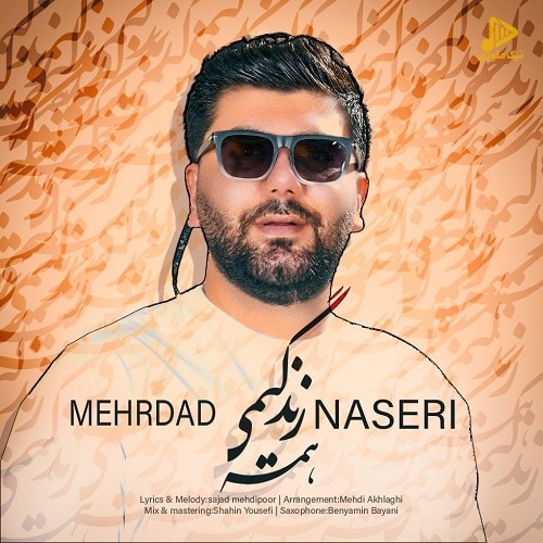 مهرداد ناصری – همه ی زندگیمی