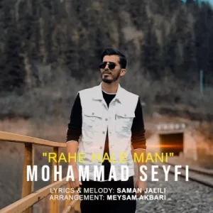 محمد سیفی – راه حل منی