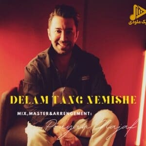 پویان – دلم تنگ میشه