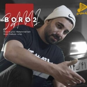 سانی – برو تو