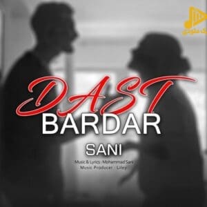 سانی – دست بردار
