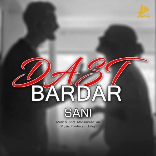 سانی – دست بردار