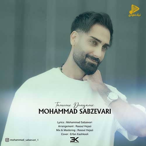 محمد سبزواری – تموم دنیامی