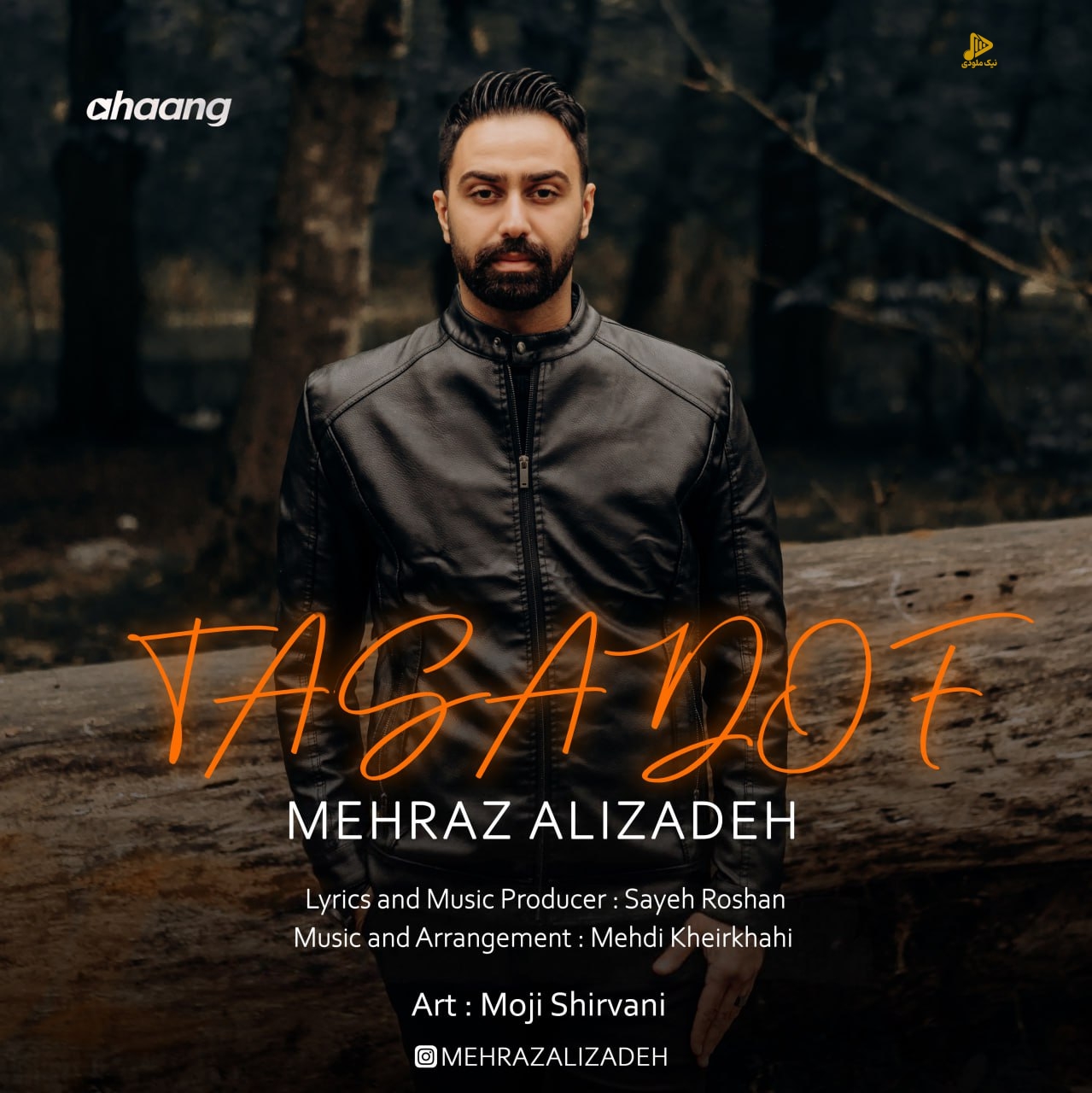 مهراز علیزاده – تصادف