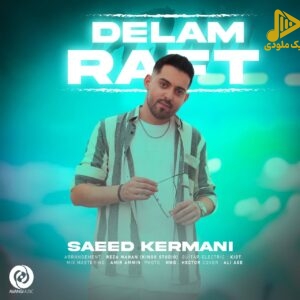 سعید کرمانی – دلم رفت