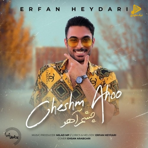 عرفان حیدری – چشم آهو