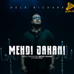مهدی جهانی – دل بیچاره