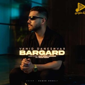 وحید دانشور – برگرد