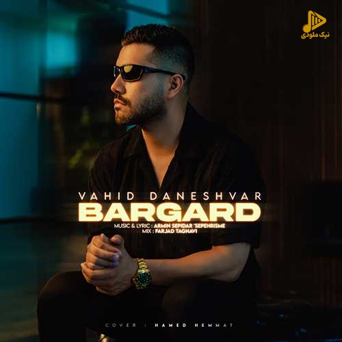 وحید دانشور – برگرد