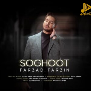 فرزاد فرزین – سقوط