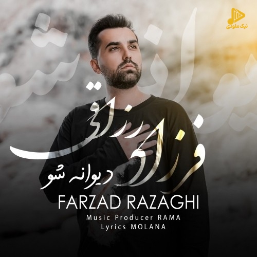 فرزاد رزاقی – دیوانه شو