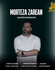 مرتضی زارعان – سردرگم