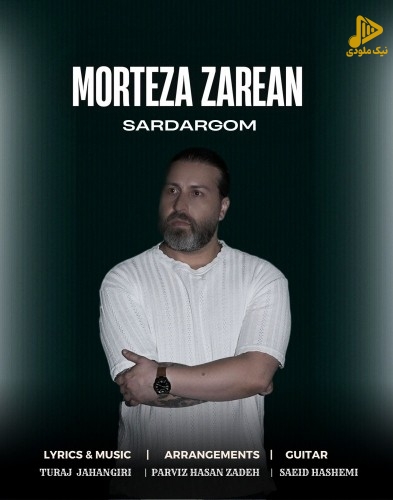 مرتضی زارعان – سردرگم